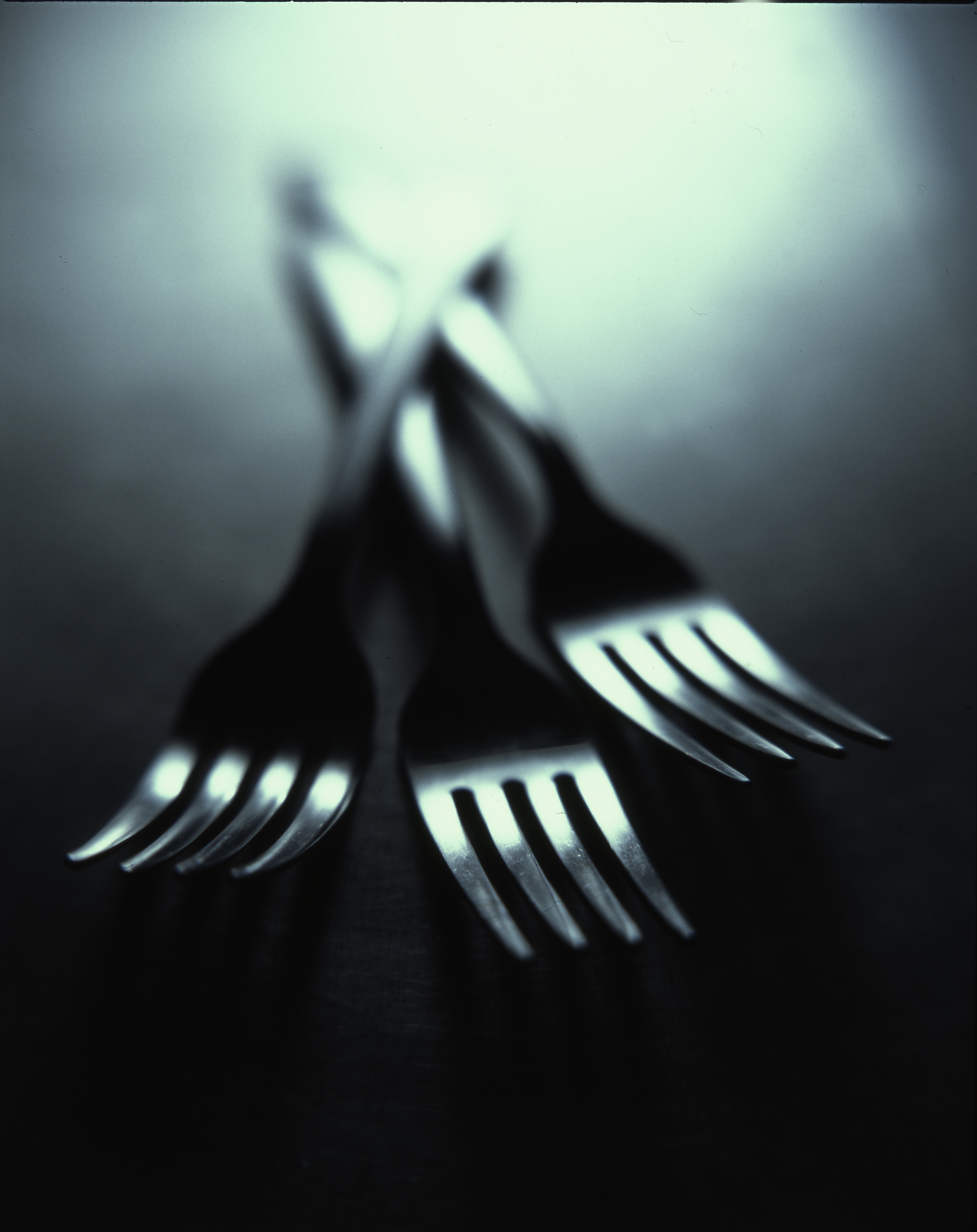 Forks that represent fat laced foods and weight loss
